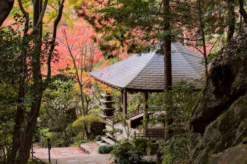 A Japanese-style gazebo amid autumn foliage.