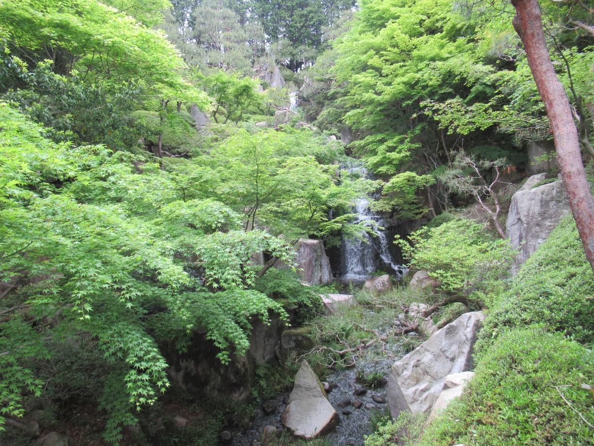 image11-2.jpg