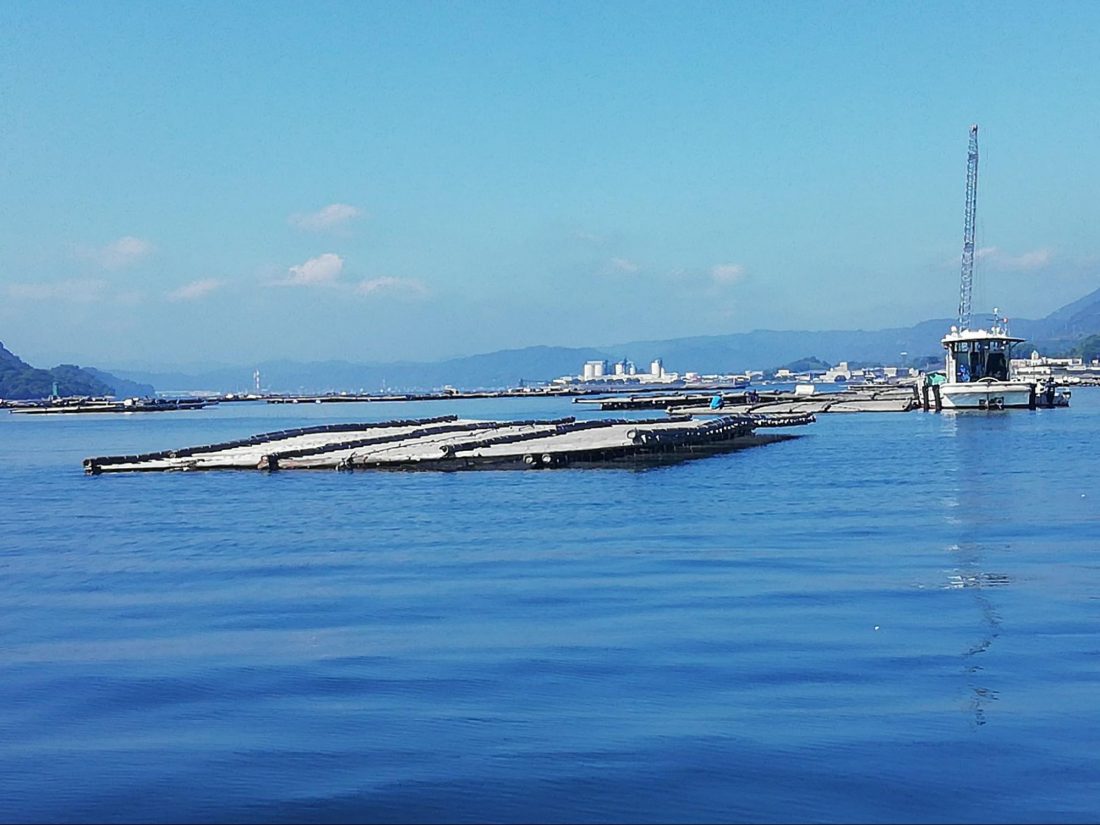 UBIQUITOUS OYSTER FARMS – Walking the Wooden Planks of Hiroshima’s Japan Leading Industry