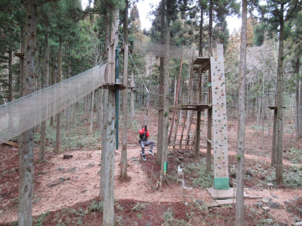 Zipping Across Hatsukaichi – Adventures at Mominoki Forest Park