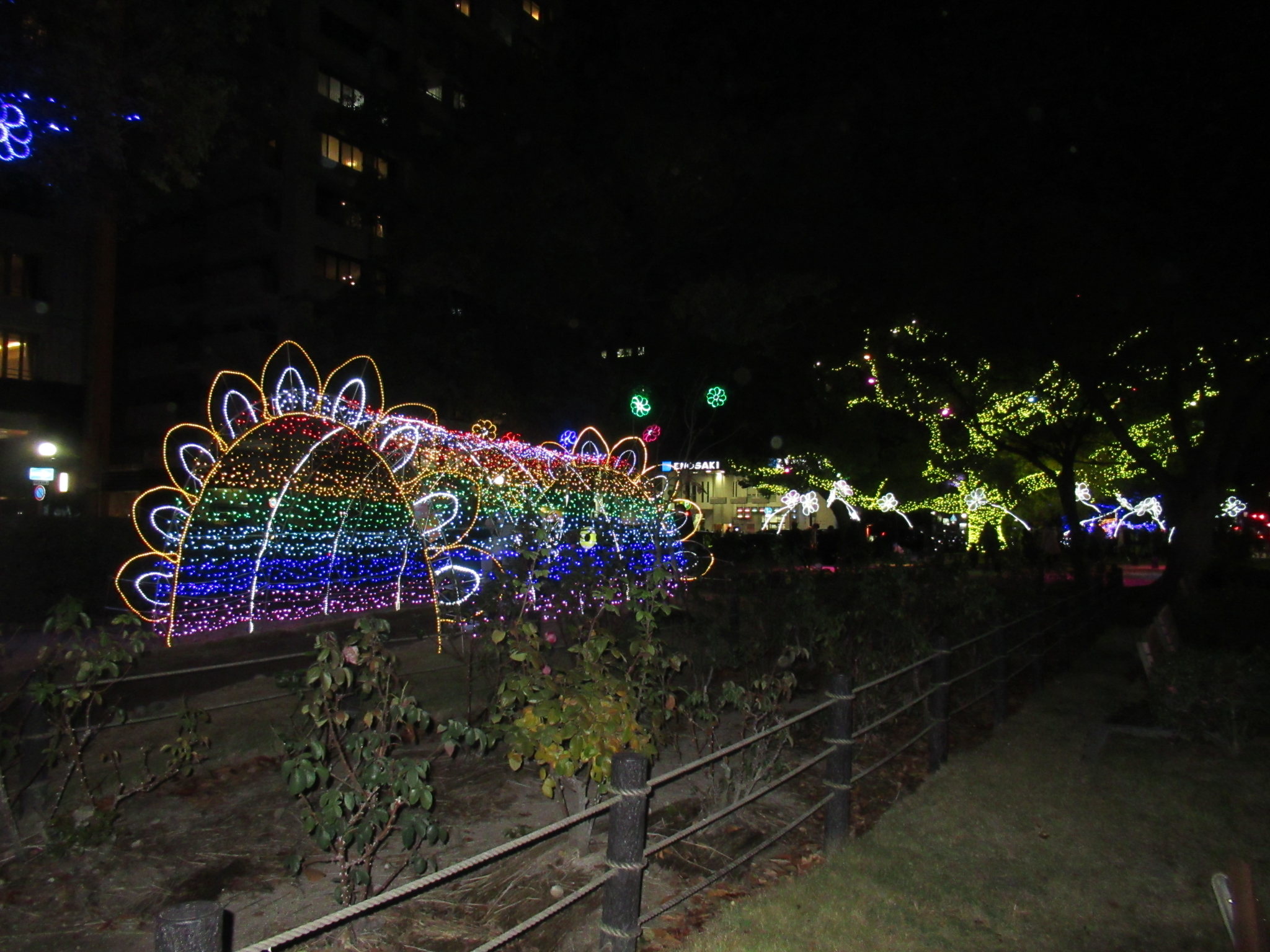 Hiroshima Dreamination to Start November 17th As Always!
