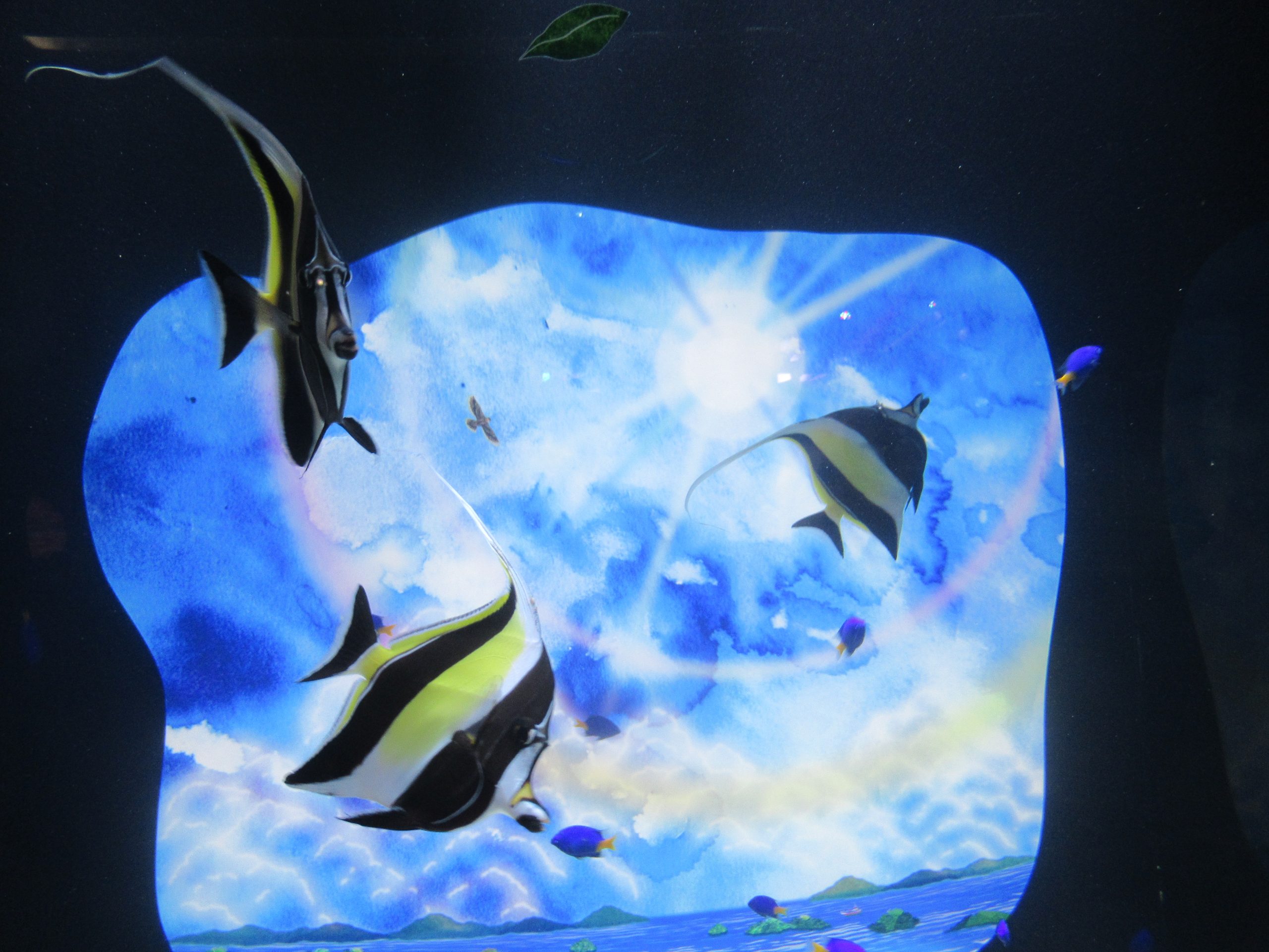 Hiroshima Motomachi Aquarium: Aqua Alive Museum Demo Dive