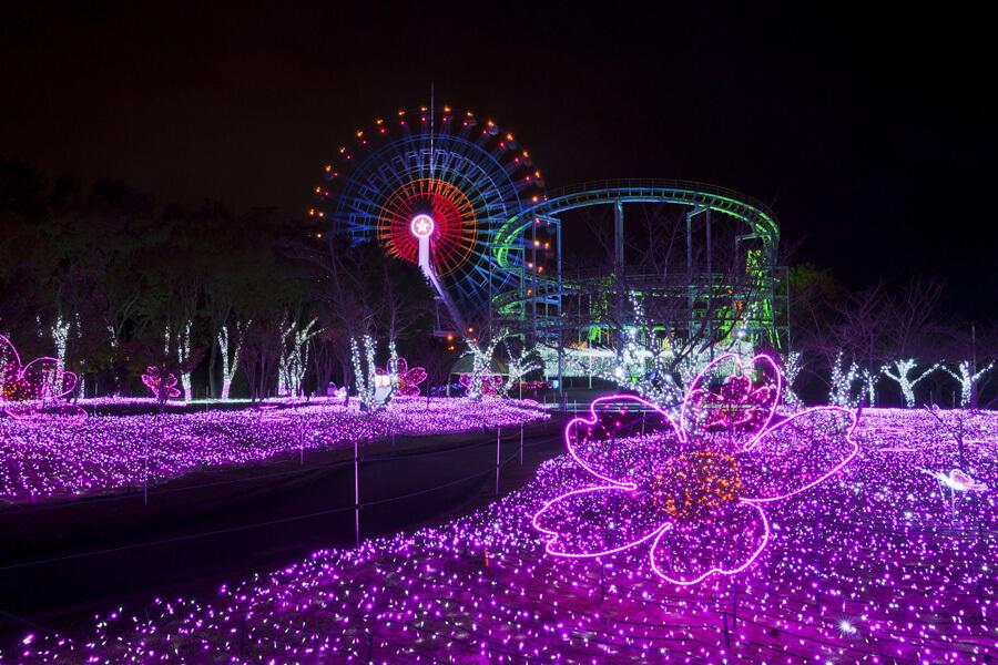 Illumination at Miroku no Sato Begins November 8th!