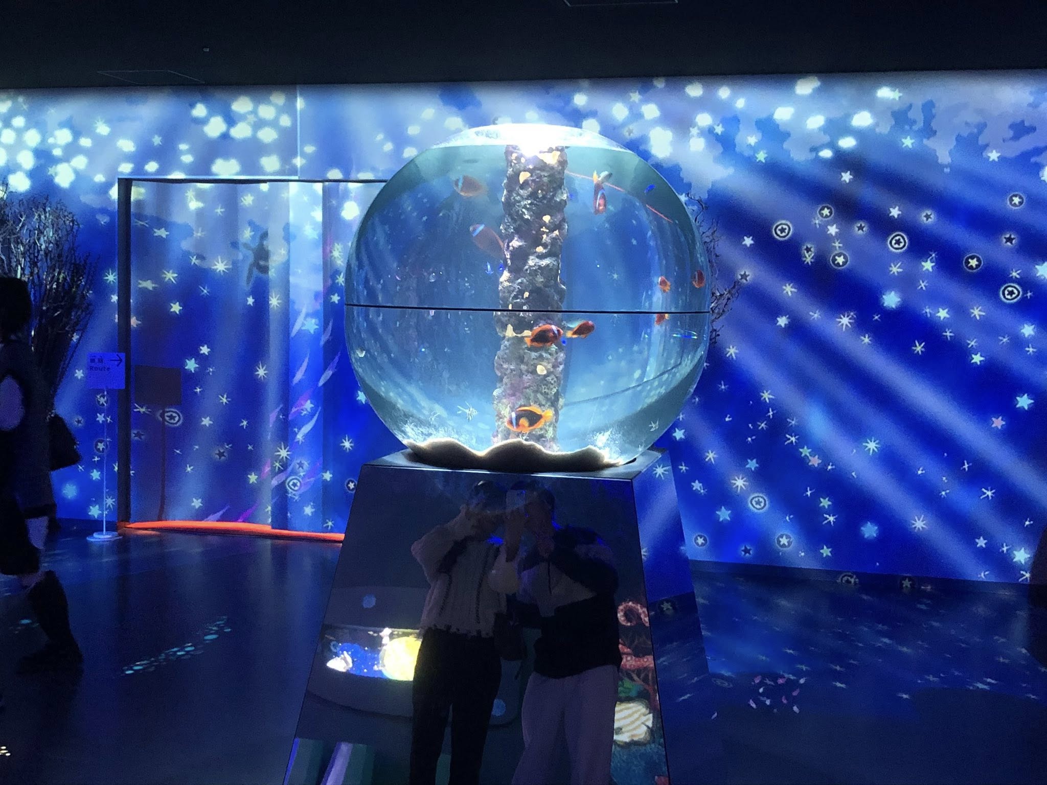 Photo Exhibit at Motomachi Aquarium Until January 12th!!