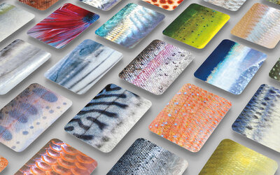 Second Photo Exhibit at Motomachi Aquarium Until March 8th!!