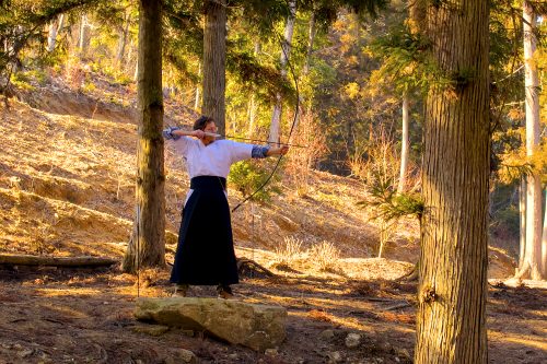 A man dressed in hakama and kimono prepares to shoot an arrow Kyūdo style in a golden wood
