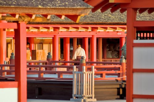 A Shinto priest amid exquisite traditional Japanese architecture