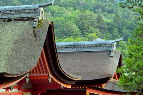 Sweeping roofs made out of cypress bark
