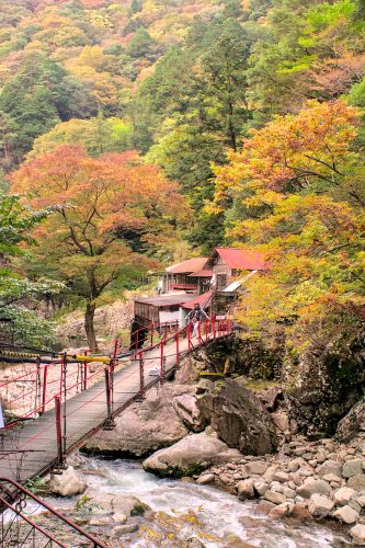 A woman stands on a rope bridge over a rushing stream while trees are starting to show their autumn colors in the background
